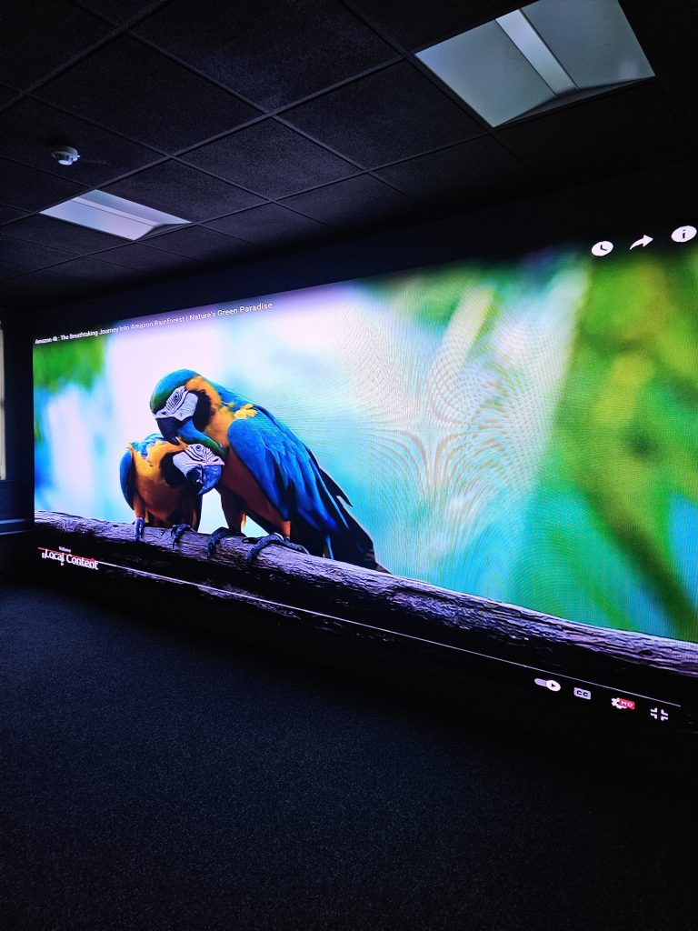 Travel and Tourism - Image 10