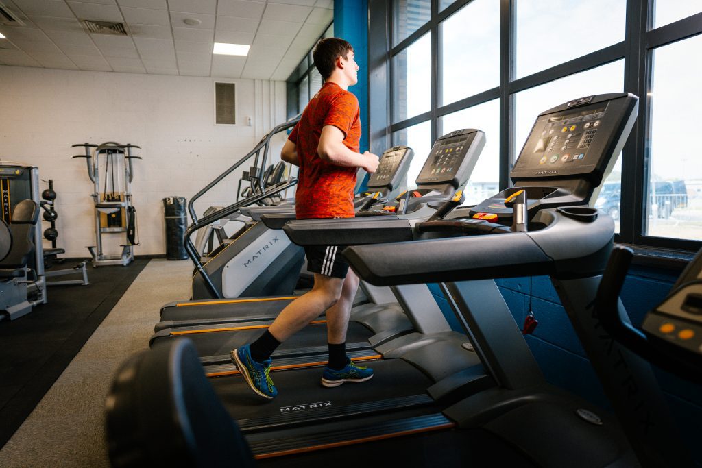 Sport, Physical Activity and Exercise Science - Image 3