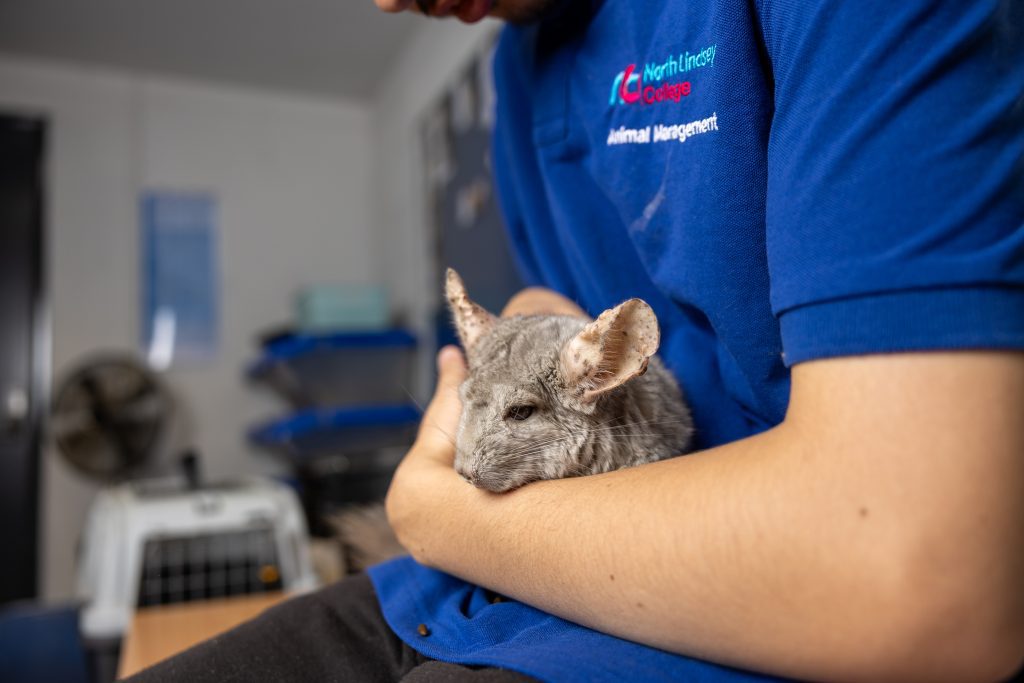 Animal Management - Image 2