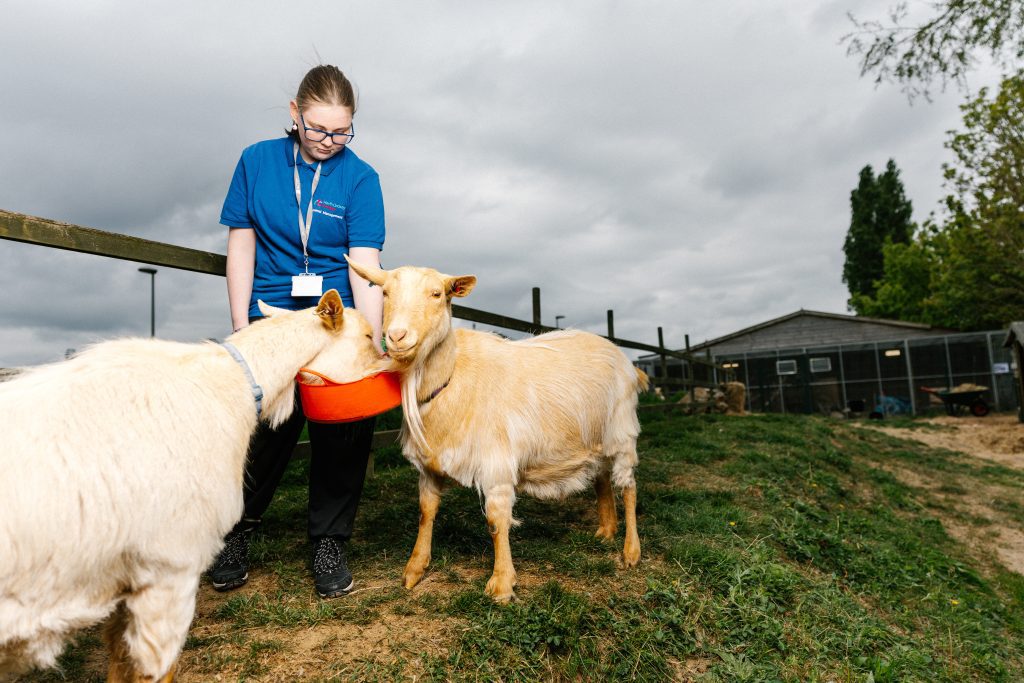 Animal Management - Image 3