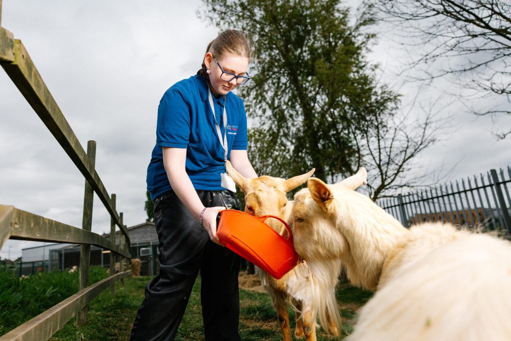 Animal Management - Image 4