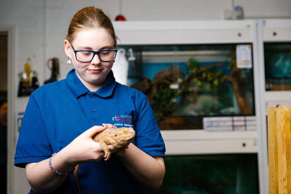 Animal Management - Image 7