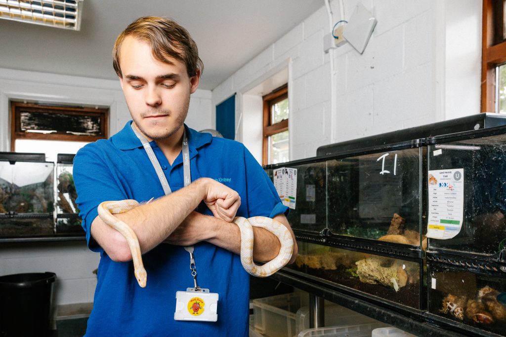 Animal Management - Image 1